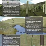 Tree Guards Infographic