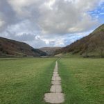 Paved path through a field.